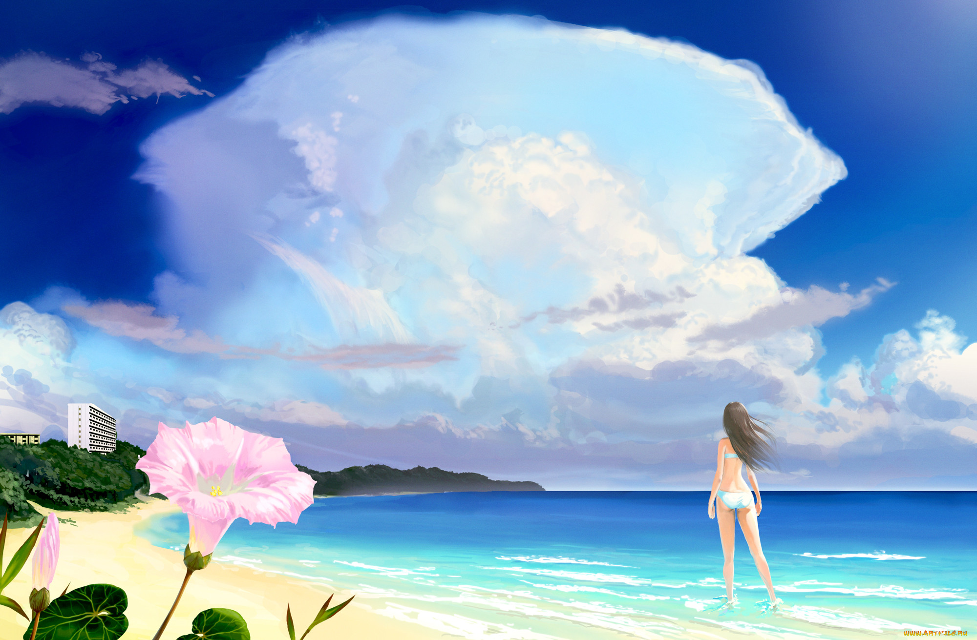 , unknown,  , , , 